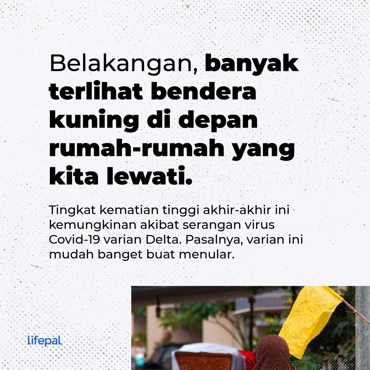Lifepal tweet media