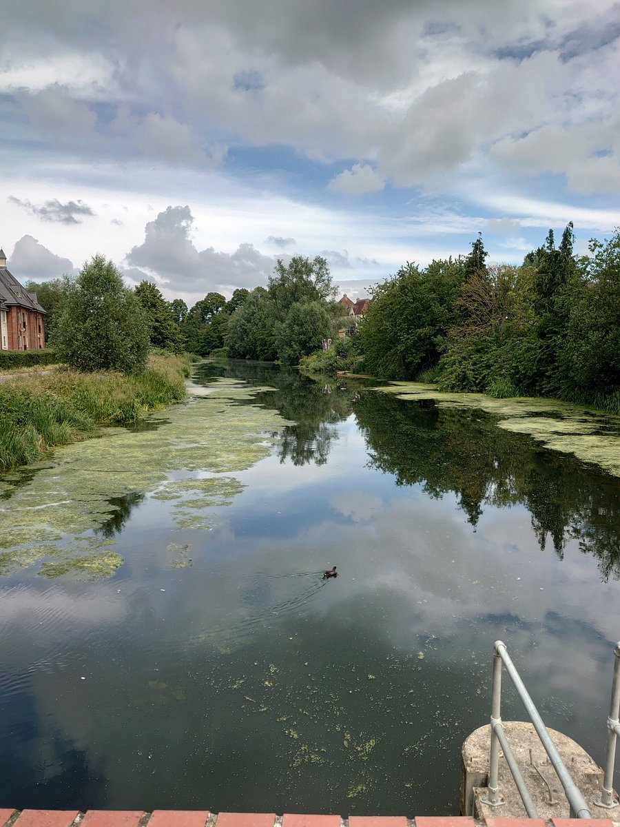 Nice river view of the green weed at East Mill. Why do people walk in the cycling lane then give you a look of hate as they have to move over. Then u have hanging branches it's a nightmare dodging and diving.@willbramhill @CampaignCycling https://t.co/Cl6yXys5vZ