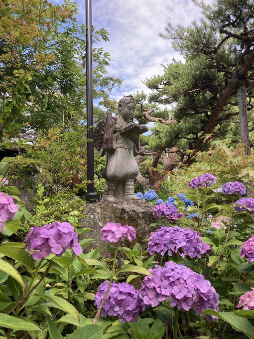 資福寺のあじさい22見頃は 駐車場やアクセス ランチも解説 ココミミ情報局 花の見頃 イベント情報