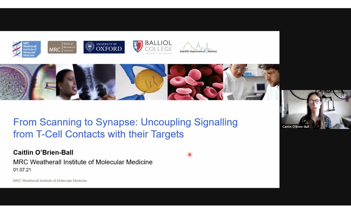 LMB-VBC Graduate Life Sciences Symposium (@lmbphdsymposium) on Twitter photo Thank you Alexis from <a href="/IBMB_CSIC/">IBMB</a> Belle from <a href="/Stanford/">Stanford University</a> & Caitlin from <a href="/UniofOxford/">University of Oxford</a> <a href="/MRC_WIMM/">MRC WIMM</a> for leading the first session of students talks of the day! Thank you Alexis from <a href="/IBMB_CSIC/">IBMB</a> Belle from <a href="/Stanford/">Stanford University</a> & Caitlin from <a href="/UniofOxford/">University of Oxford</a> <a href="/MRC_WIMM/">MRC WIMM</a> for leading the first session of students talks of the day!