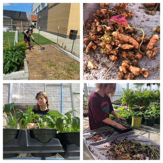 Our program has been a little busy this week from Wake Officer Academy to Greenhouse Work. Students have come together for fun and work to make our program (and plants) better.

#hhsffa #plantpeeps #iabl #learnleadsucceed