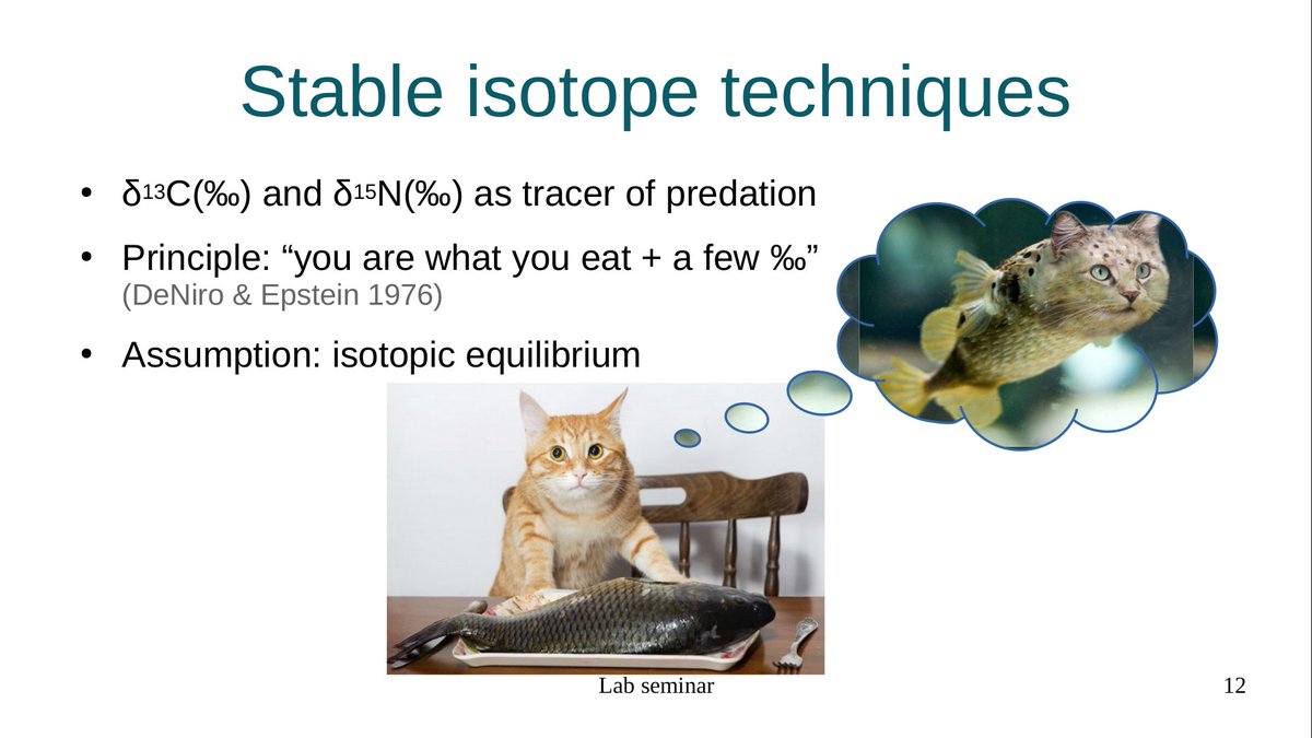 Laboratoire d’Océanologie et de Géosciences tweet media