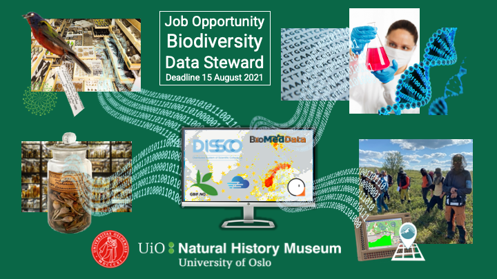 GBIFNorway's tweet photo. JOB OPPORTUNITY biodiversity data steward at @UniOslo_NHM @UniOslo with research data for @GBIFnorway @GBIF @DiSSCoEU #NaturiNorge @Artsdatabanken @living_norway &amp; teaching &amp; training for #BioDATAGBIF #BioMedData #FAIRdata #OpenScience #CiteTheDOI https://t.co/fdZ2quoApf https://t.co/UjxH4tdFnN
