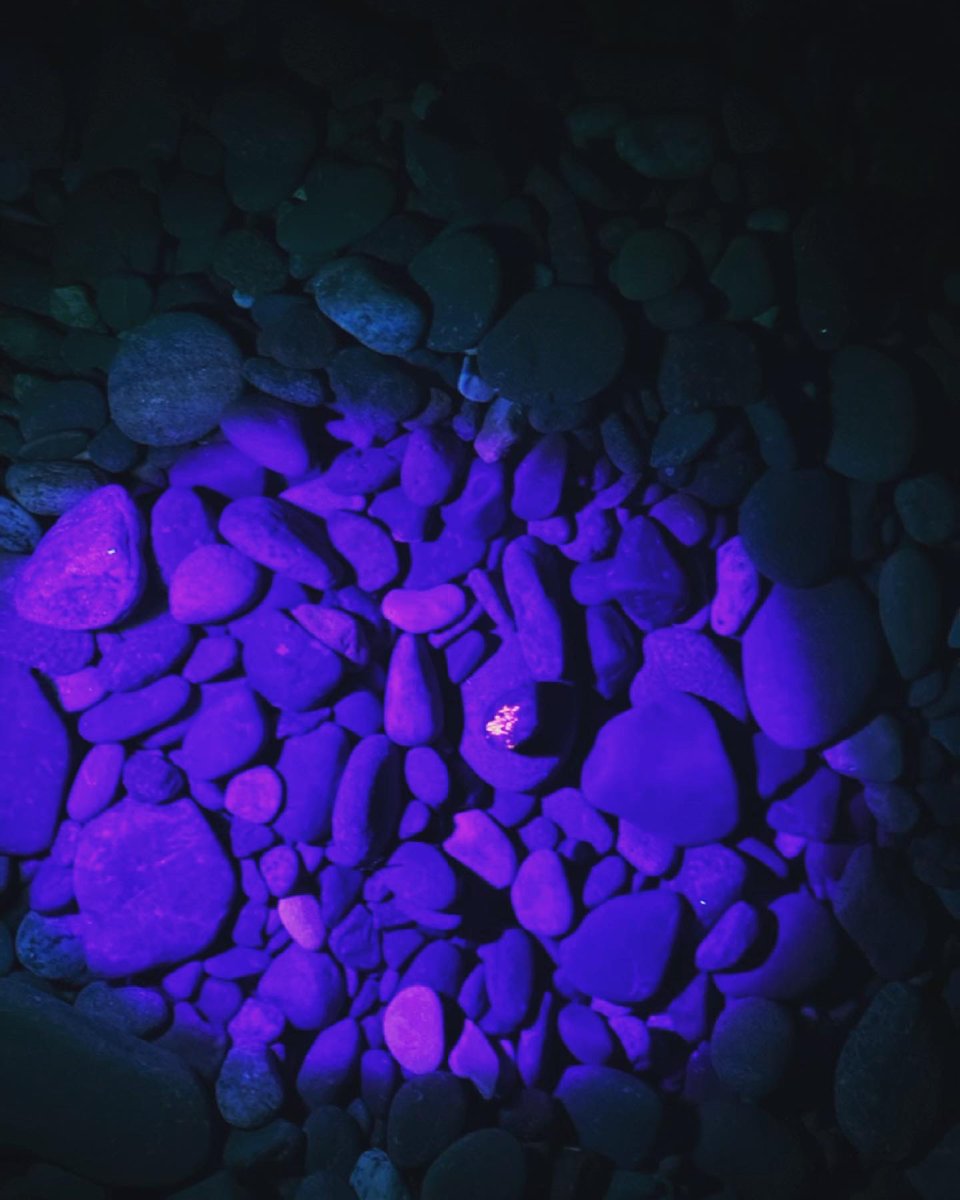NormanKorpi's tweet photo. At last, I found some #yooperlites! I needed to walk the #beach for over a mile on Lake Superior under the shooting stars and see the glow of the #northernlights. But I found a few!
☄️⚡️☄️
❤️, The Norm https://t.co/3DNmLStCY3