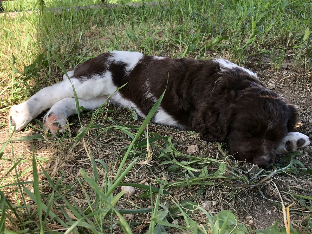 Placid Farms tweet media