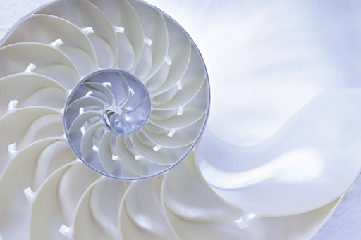 Heute tritt das #FISG in Kraft. Klargestellt wird: Der #Aufsichtsrat muss die Qualität der #Abschlussprüfung überwachen. Unser neuer Leitfaden unterstützt Sie hierbei. audit-committee-institute.de/html/de/naviga…