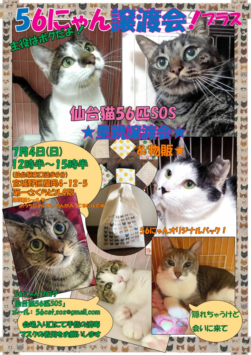 近藤nyanko Hn Kondonyanko Twitter 近藤nyanko Hn Kondonyanko Twitter