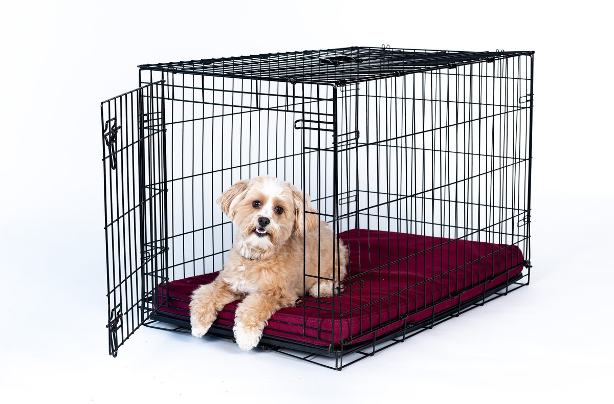 gorilla dog bed promo code