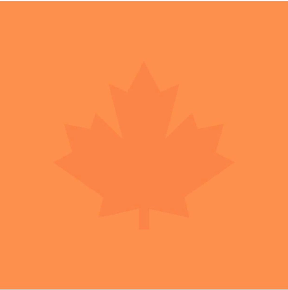 SolutionsHumane's tweet image. Every child matters, nobody should fight for equitable treatment, every community should have developed services, and we should be protecting our environment, our health, and each other.