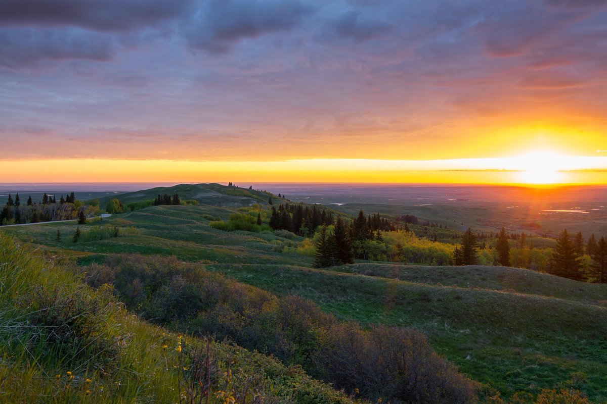 #CanadaDay presents an opportunity to reflect on our history and show solidarity, understanding, and resilience. We need to come together to hold a truthful, reconciling, and inclusive dialogue and look toward our country's future while acknowledging the past.
