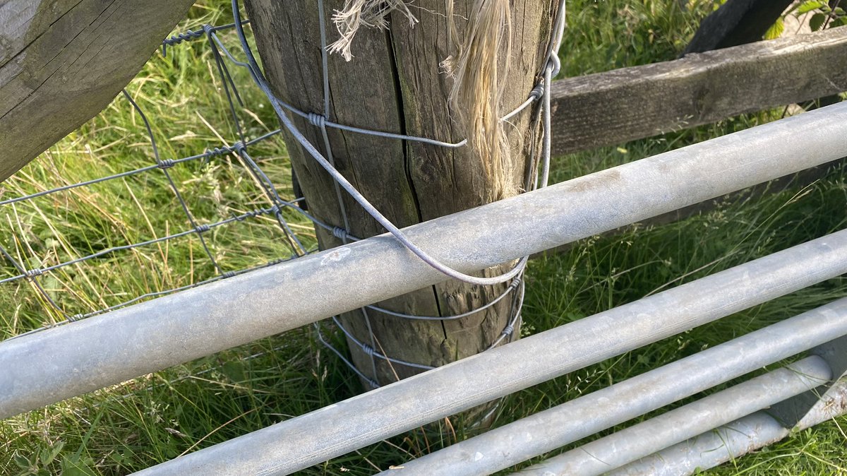 Maria_M64's tweet photo. @Bradford_CROW Access is blocked on the footpath by the Doubler Stones onto Addingham High Moor. Please investigate https://t.co/QVzVnbsvJy