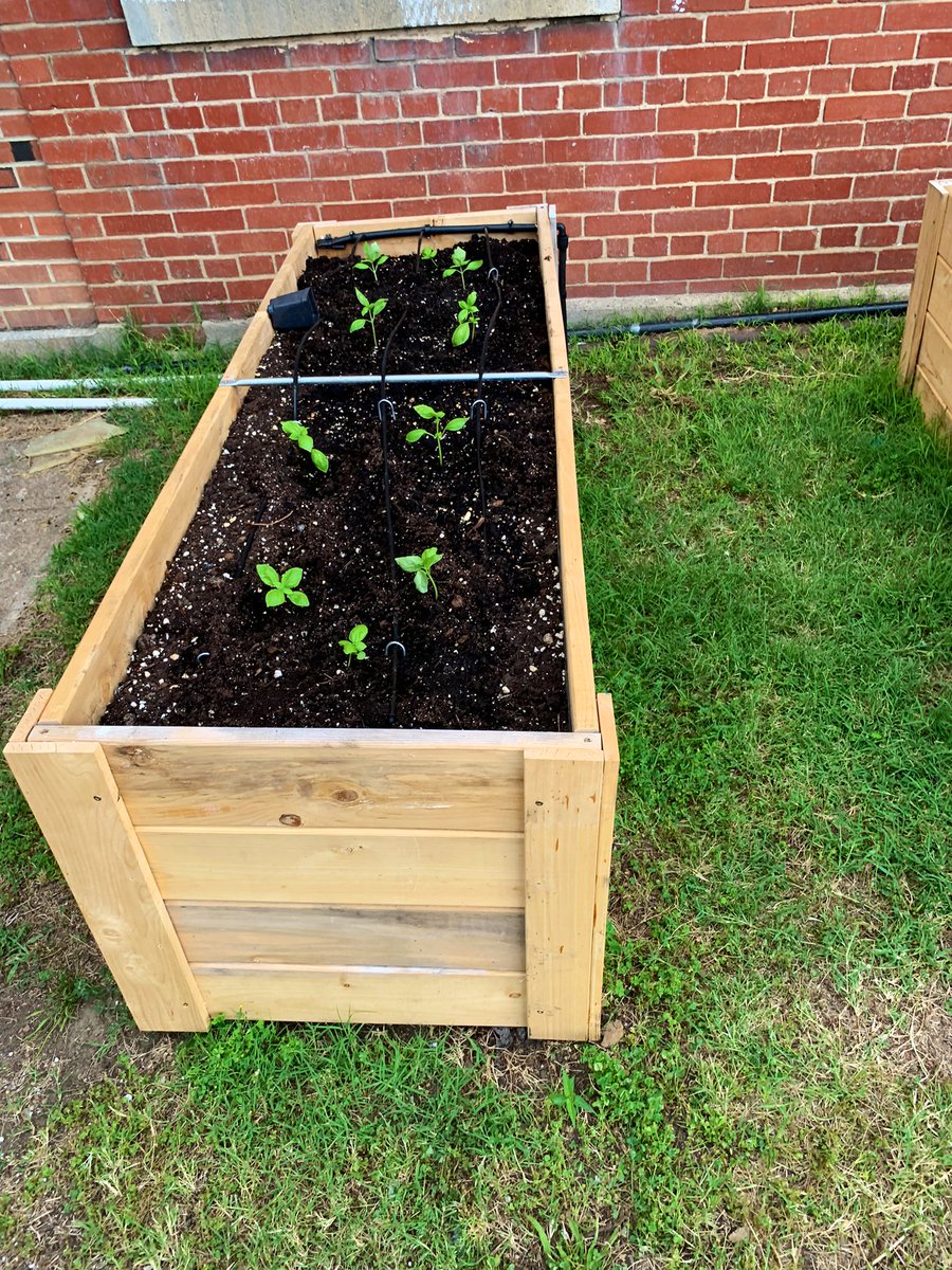 BES2012LLC's tweet photo. Thanks to Ms. Hippolyte and our partnership with @FoodPrintsDC we finally have a garden that our students can grow during the summer and throughout the school year.
πΏ π
π₯ π«
@dcpublicschools @sharonabean @ward8edcouncil @creidsboe @JaberChefDC @DCPSEats https://t.co/EmYAgEfKYd
