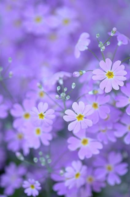 The tongue has no bones, but is strong enough to break a heart. So be careful with your words.
So be sure to taste your words before you spit them out. 
｡･:*:･ﾟ★,｡･:*:･ﾟ☆.・゜-: ✧ :-　　-: ✧ :-゜・．