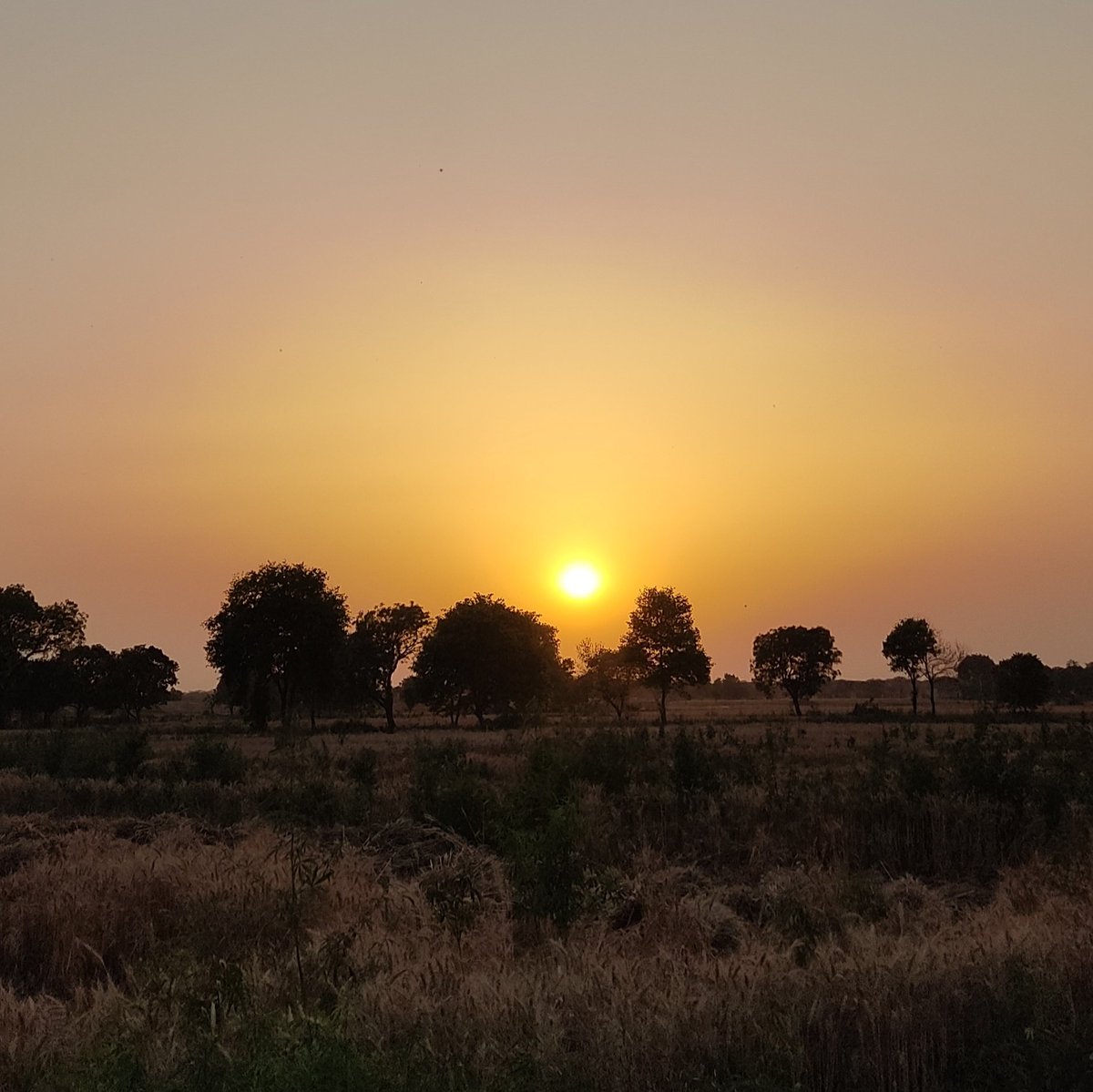 devrajsinghpoet's tweet image. #NewProfilePic