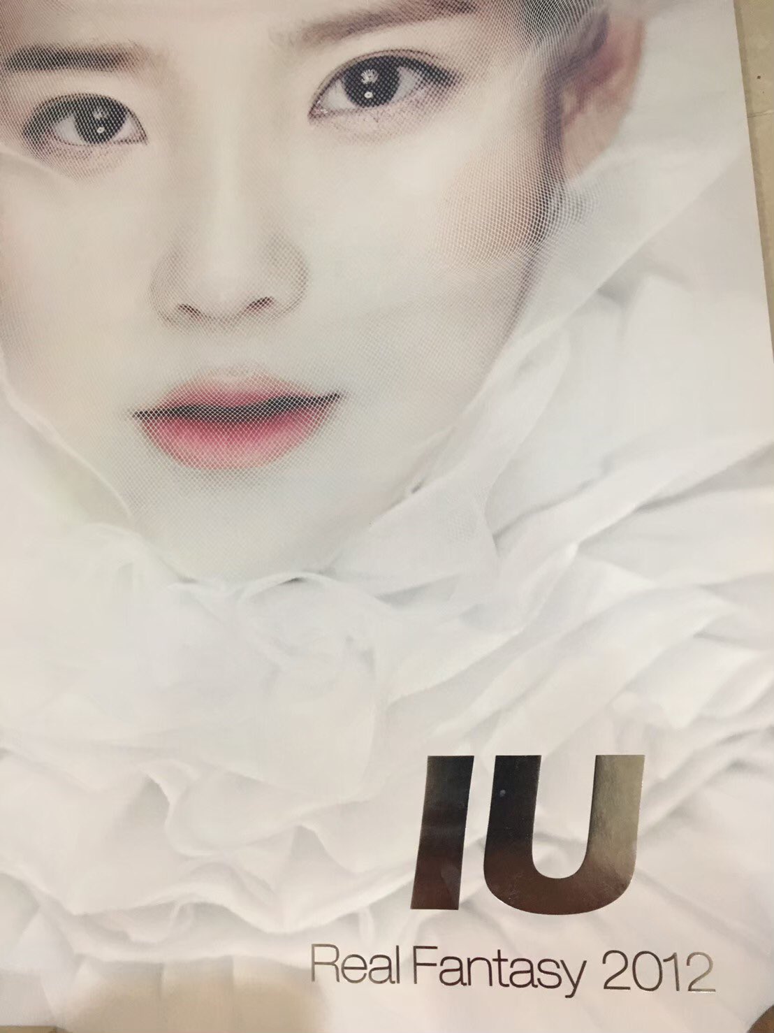 IU REAL FANTASY 2012 （IU Lee Real Fantasy 2012 Special DVD