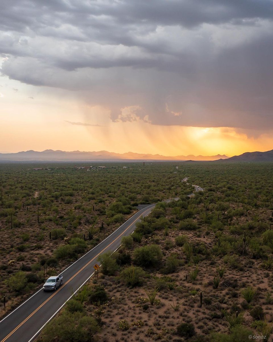 Tucson Guide tweet media