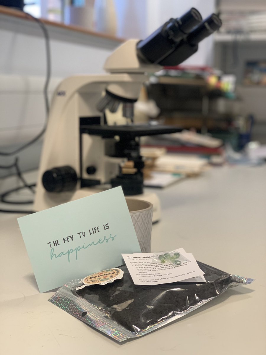 What a great gift from <a href="/DSRSUoS/">Dental School Research Society (DSRS)</a>! Really meaningful. Hope next year will be better for all of us. With many positive results and happy moments (maybe we can even dream about seeing each other’s faces again in the lab without masks?) <a href="/isabel_bfp/">Isabel, PhD 🦠</a> <a href="/OiHollie/">Hollie Shaw</a>