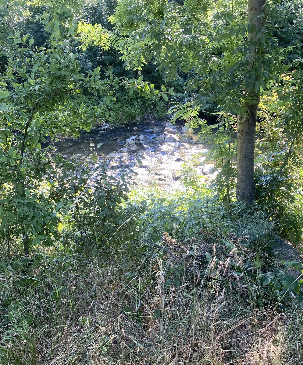 1 Stunde bei teilweisen Sonnenschein und windigen Wetter bei + 22 Grad Spazieren #OeNR #OeBH #GEBÖS immer schön!