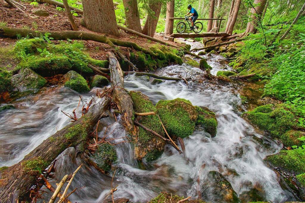 thepowdermonk's tweet photo. Riding to find cool flow in mother natures air conditioned green room.
#RideFromHome
#OneLessCar
#RideMoreDoMore
#PEARLiZUMi #cycling #mtb #singletrack #optoutside #mountainbike #coloradogram #mtblife #whyiride #coloradolive #vaillive #bikestyle #yeti… https://t.co/lcxwMEMoiH https://t.co/exBmL4RMuS