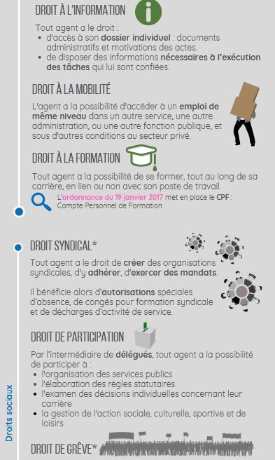 plateforme apis tweet media