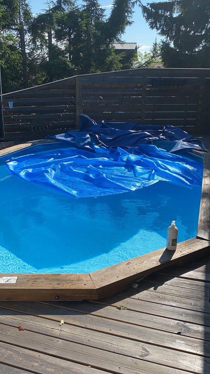 Still swimmin around