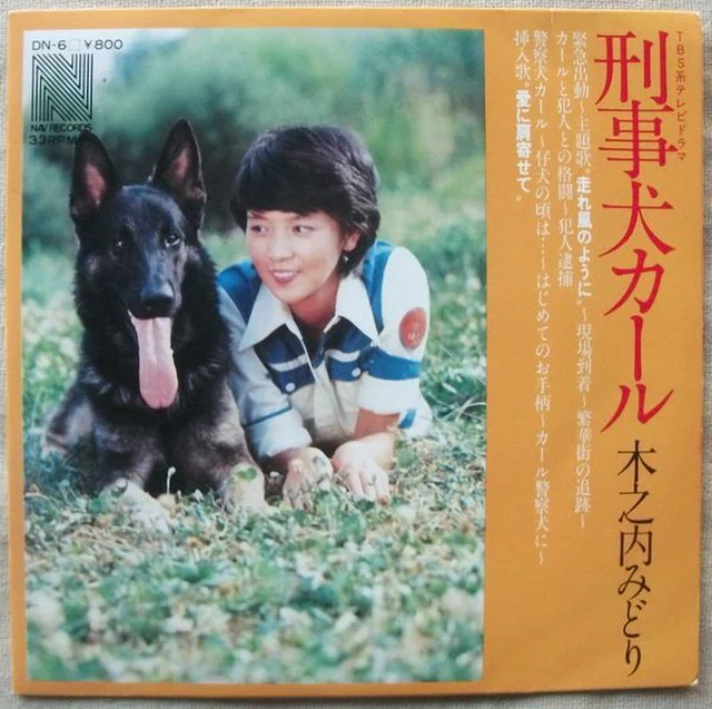 @Go_Go_Go_Go_Go コレじゃなかったか 