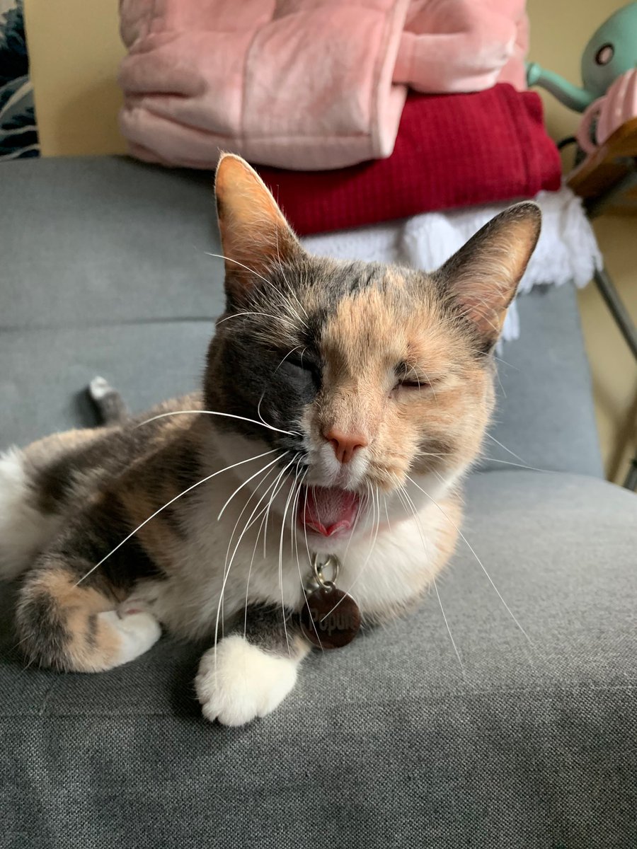 connieandsyd's tweet photo. ITBS OWWER CUZINS BURF DAY! SAIZ HAPI BURFF DAY NAOW! @popurrrrri https://t.co/G8mTs5ZPE9