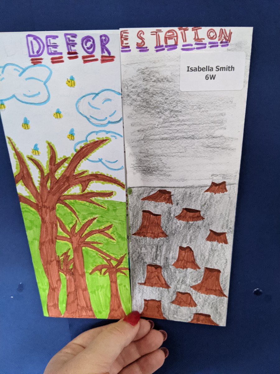 ReinwoodJuniors's tweet image. Here are some of the fantastic pieces of work inspired by the book &apos;Varmints&apos; by Helen Ward. We thought about how we can protect our planet and looked at the human threats to the environment. #RJSEnglish #RJS6W #RJSReadAllAboutIt