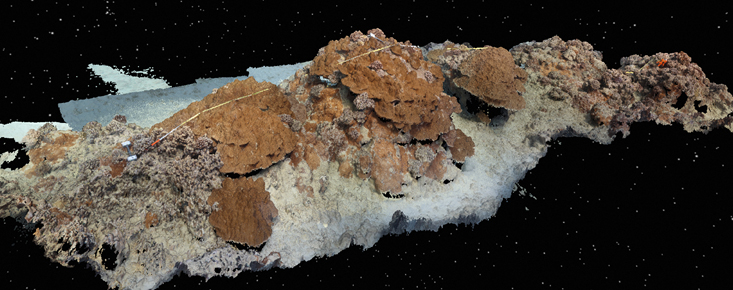 Our partners at <a href="/NOAAFish_PIRO/">NOAA Fisheries PIRO</a> are now exploring the use of 3D structure-from-motion photogrammetry to better monitor the health and status of #CoralReef ecosystems. Explore more here: go.usa.gov/x6Ab2 #OceanDecade #GenerationRestoration