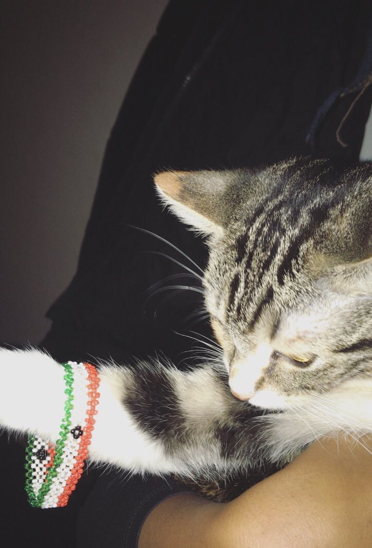 Bisad says hi from the other side 👋🏿
💚🤍❤️