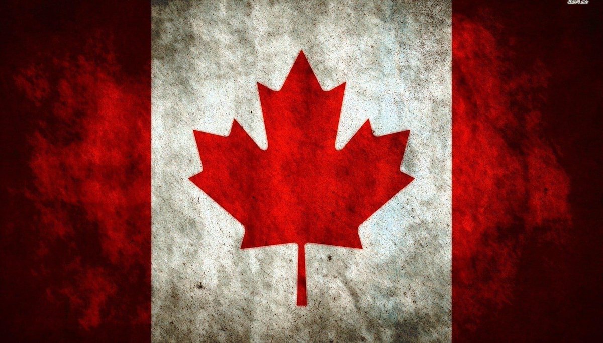 springbrookHW's tweet image. Our Springbrook Health Team is celebrating our Maple Leaf from Flower City! ~ Happy Canada Day!!!