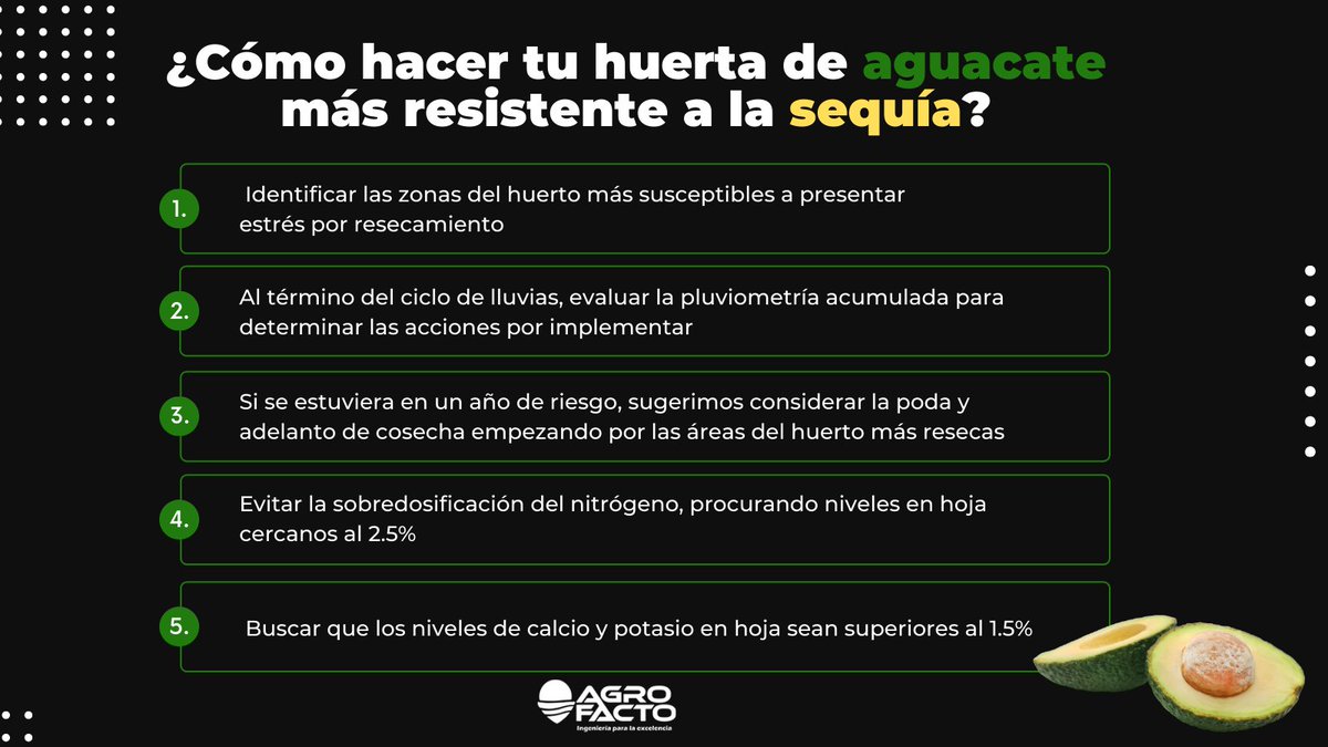 Agrofacto's tweet photo. Aquí algunas sugerencias que pueden ayudar a reducir el daño ocurrido en el periodo de sequía en huertas de aguacate🥑 https://t.co/ufOr0QUMRh