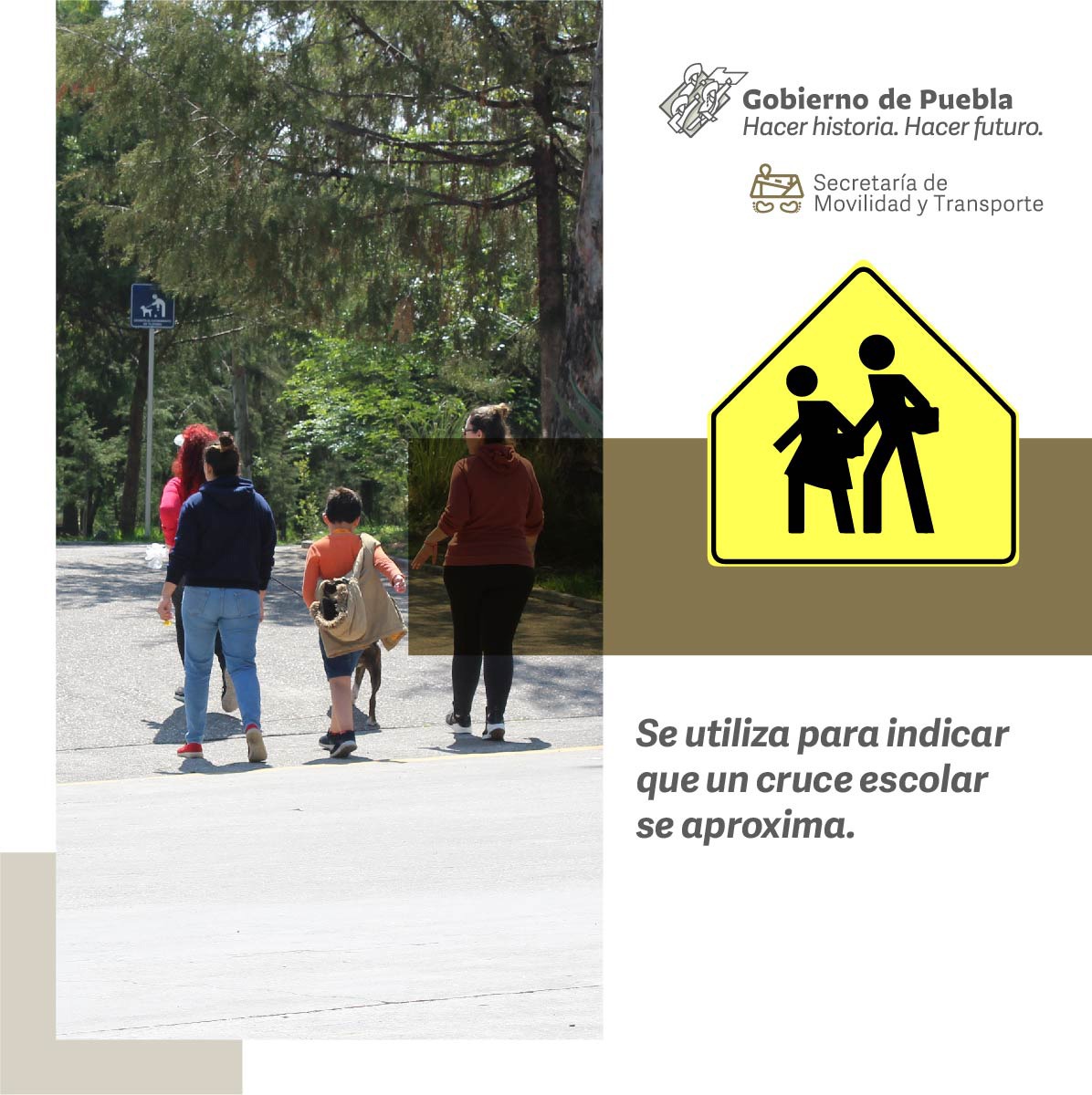 MTGobPue's tweet photo. Para garantizar el derecho a la #Movilidad hay que contar con un sistema que permita el equilibrio social e incorpore a todas las personas. Te compartimos la señalética que protege a las personas que se mueven a pie. https://t.co/tBUCtgI7Ln