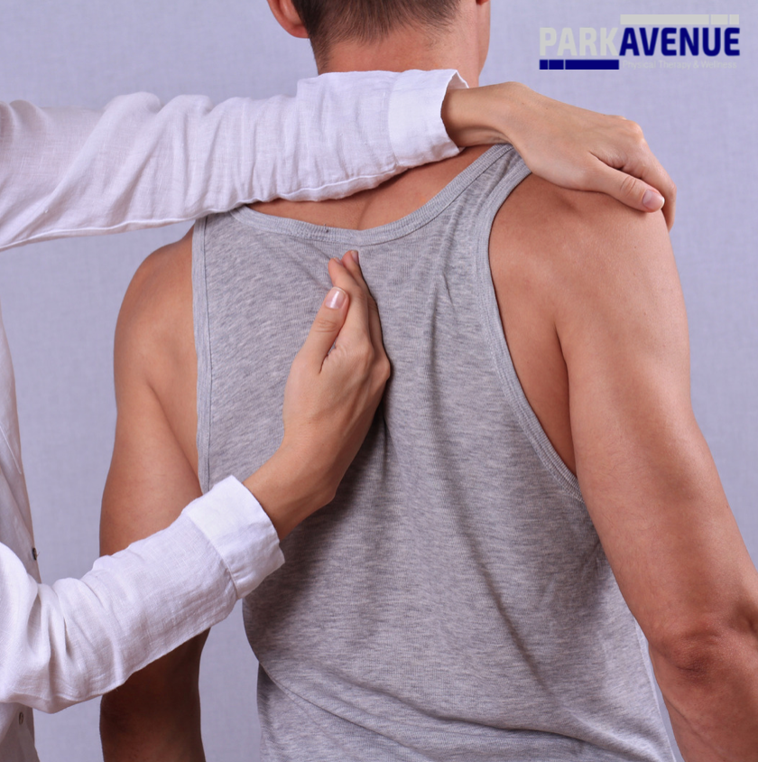 Manual therapy is a specialized form of PT that helps diminish back pain as a result of muscle spasms, muscle tension, and joint dysfunction. 

Learn more buff.ly/3A5kKg7  

#ParkAvenuePhysicalTherapyAndWellness #PhysicalTherapy #PhysicalTherapist #BackPain #ManualTherapy