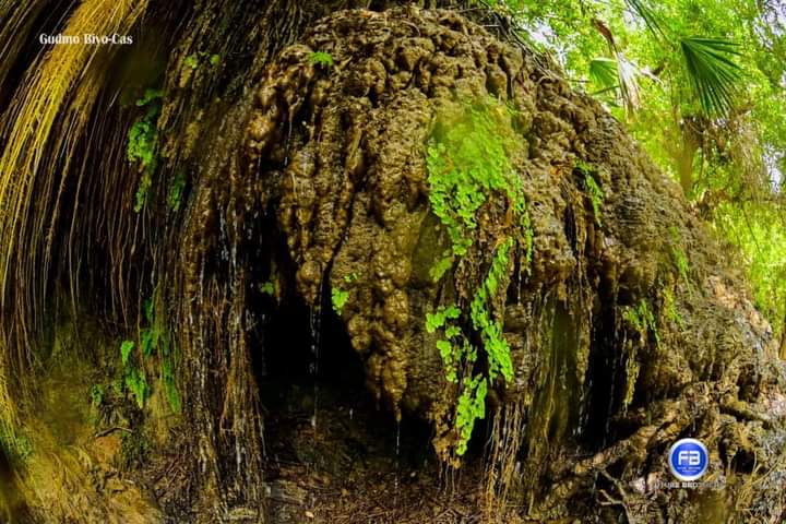 ahmetsomali's tweet photo. [THREAD]

10 most beautiful sites &amp; places you should visit in #Cerigabo #Sanaag. Feel free to RT people need to discover their land &amp; this nature #Somaliland

1. Gudmo Biyo-cas, Sanaag https://t.co/RVz42VLfjI