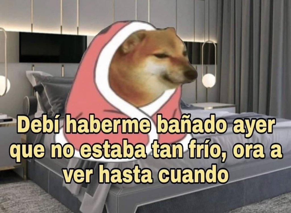 El Guarromántico tweet media