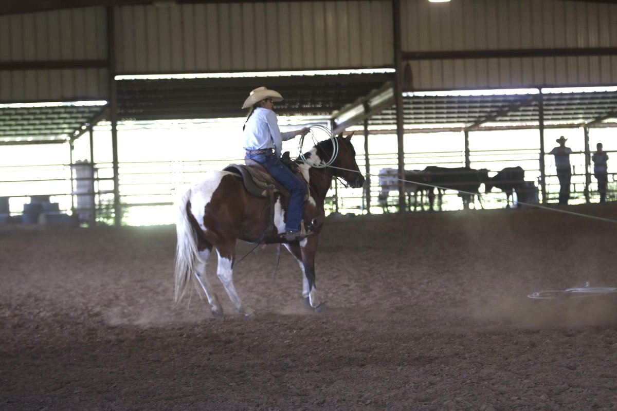 RopinToWin's tweet photo. The War Ponyโs pretty cool. ๐๐ผ #wrra #KeystoneRanch https://t.co/QU3WM8AMOF