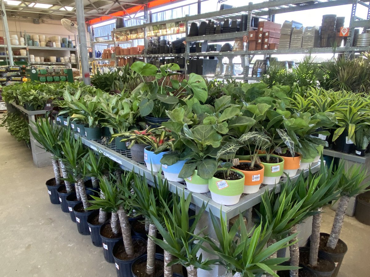 Sally Maurice tweet media