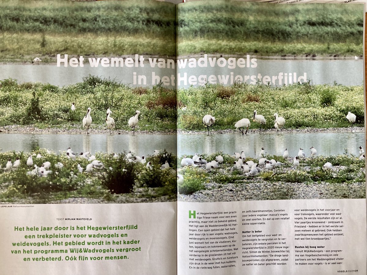 Teo Wams tweet media