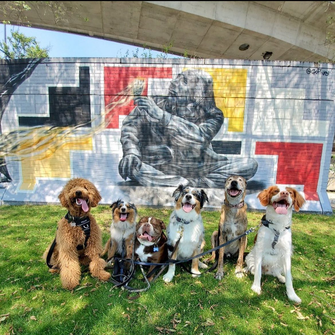 UndergroundINK_'s tweet photo. The long weekend is almost here! Grab your pals and get ready to celebrate 💥

📸IG @lincoln_the_brittany

#weekendvibes #4thofjuly #friends #getoutside #boston https://t.co/mUZmfjSDkG