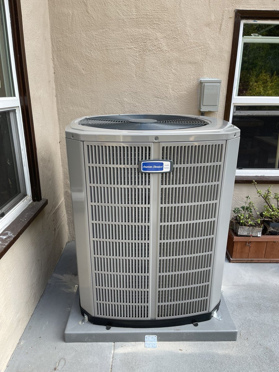 "sam" "breed" tweet media