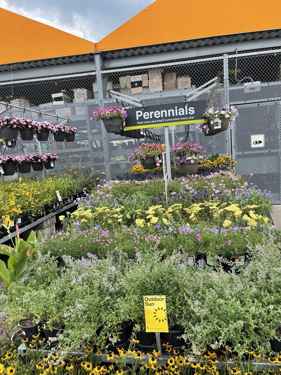 Amanda Fore (@fore_amanda) on Twitter photo HD 2314 is looking fantastic! Great Job working the store Kelly, appreciate you! 🤩🥳🌻🌸🌿 <a href="/jody_delicato/">Jody Delicato</a> <a href="/wayne2314/">Wayne Williams</a> <a href="/BellNursery/">Bell Nursery</a> <a href="/RobD250/">Rob Dyer</a> <a href="/rmathis333_rick/">Rick Mathis</a> HD 2314 is looking fantastic! Great Job working the store Kelly, appreciate you! 🤩🥳🌻🌸🌿 <a href="/jody_delicato/">Jody Delicato</a> <a href="/wayne2314/">Wayne Williams</a> <a href="/BellNursery/">Bell Nursery</a> <a href="/RobD250/">Rob Dyer</a> <a href="/rmathis333_rick/">Rick Mathis</a>