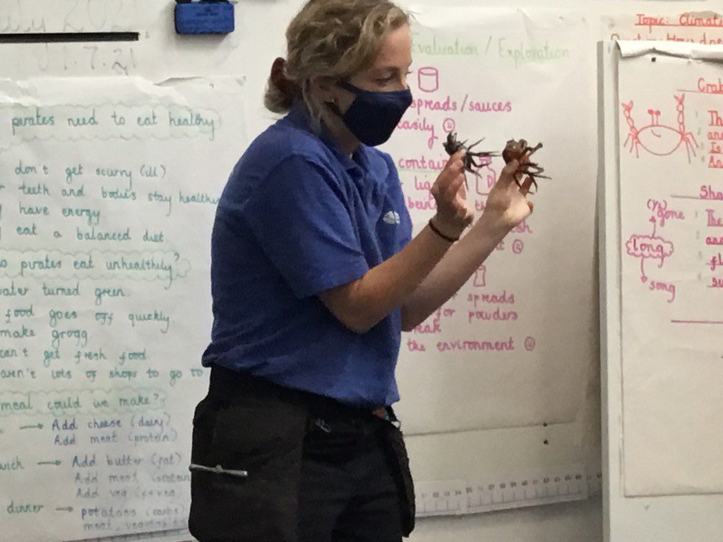 Treverbyn Academy & Nursery (@treverbynacad) on Twitter photo Amazing visit from <a href="/BlueReefNewquay/">Blue Reef Aquarium</a> today. We saw lots of animals and even got to touch some! 🦀🦞🐠 Amazing visit from <a href="/BlueReefNewquay/">Blue Reef Aquarium</a> today. We saw lots of animals and even got to touch some! 🦀🦞🐠