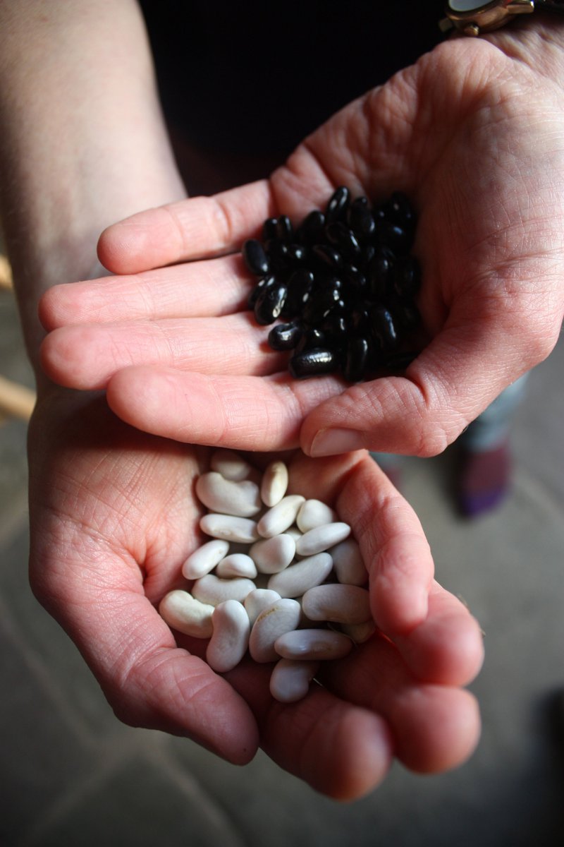 Is there a topic you really want to see at our upcoming #SeedGathering2021 on Oct 23/24th? Or is there a session you would like to be involved with? Let us know! 👂
airtable.com/shrZ3yfuGyjvnP…