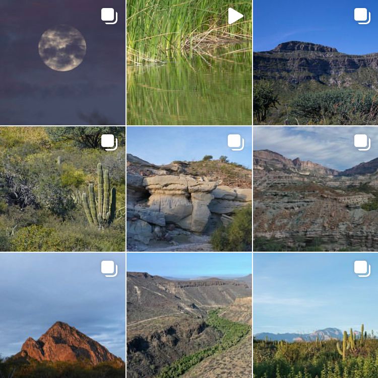 custodiossierra's tweet photo. Los invitamos a seguirnos en #Instagram. Nos encuentran como @custodiosdelasierra 

Toda la belleza de #LaGigantayGuadalupe captada en imagen y video. ➡️ https://t.co/XCVUt9kIt0 

#CustodiosDeLaSierra #BajaCaliforniaSur https://t.co/mXWOWLLhV0