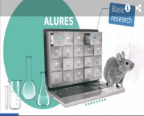 GIRCOR's tweet photo. 😍🤩 #BOARD21 : au-delà de la 🇨🇵 , la Commission 🇪🇺 a développé une base de données #ALURES, afin de rendre disponible les informations chiffrées sur l’utilisation des animaux à des fins scientifiques 👏👏
➡️ https://t.co/GNnBm0bQZs
#animalresearch #transparency https://t.co/5dhxMXVIoo