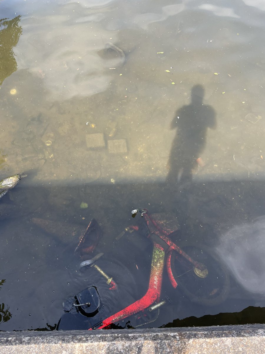 cycleinkingston's tweet photo. @Real_Parisian @limebike Speaking of fishing, can someone fish this out? I jump have been taken over by lime? DM for location. https://t.co/5V4wVZBSwr
