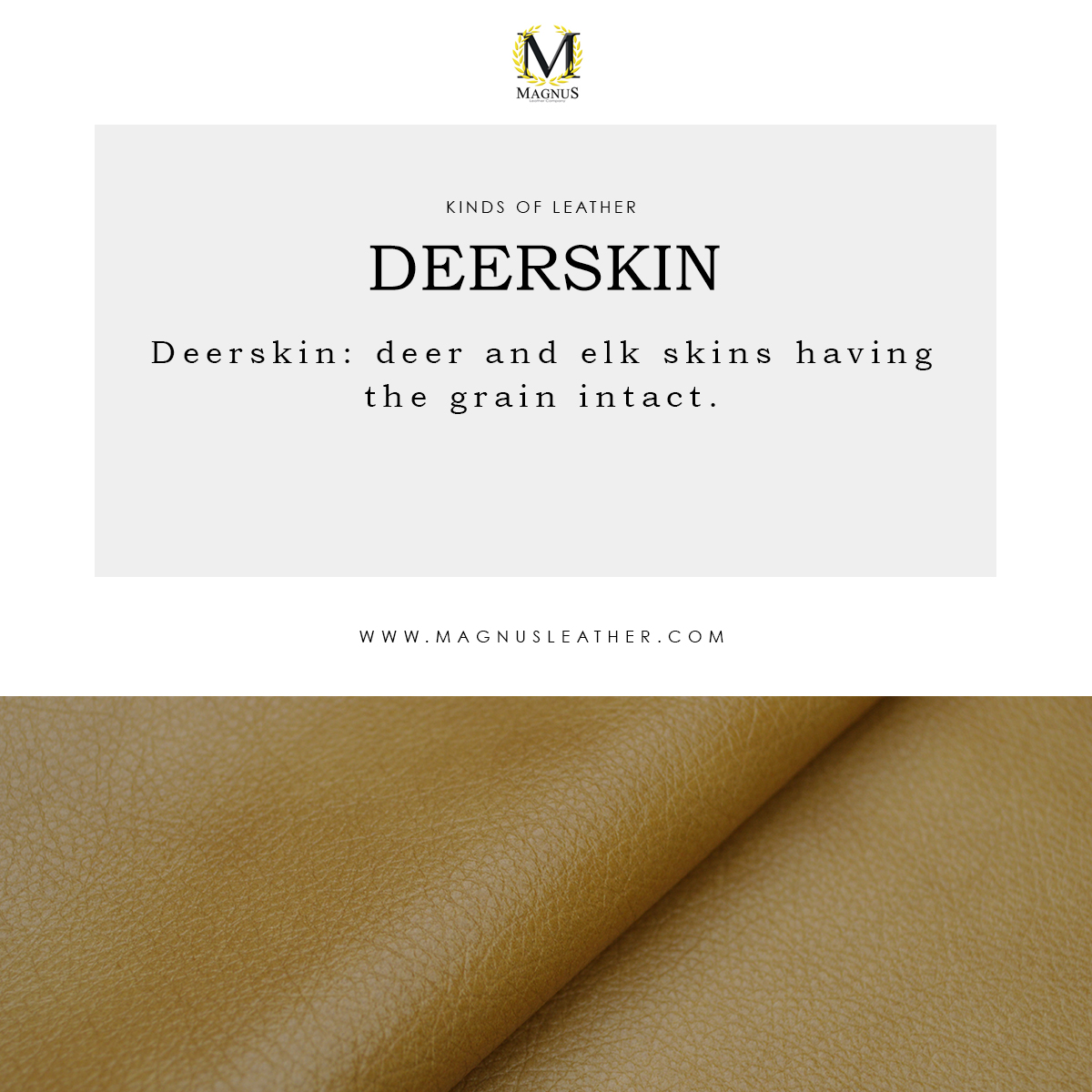MagnusLeather's tweet photo. Deerskin: deer and elk skins having the grain intact.
#MagnusLeather #Leather #LeatherCompany #LeatherGlossary #GeneralTerms #KindsOfLeather https://t.co/Pqo16KYF2j
