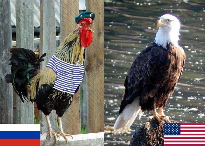 Использование Росгвардии для блокирования Керченского пролива нарушает права Украины как прибрежного государства, - МИД - Цензор.НЕТ 6272