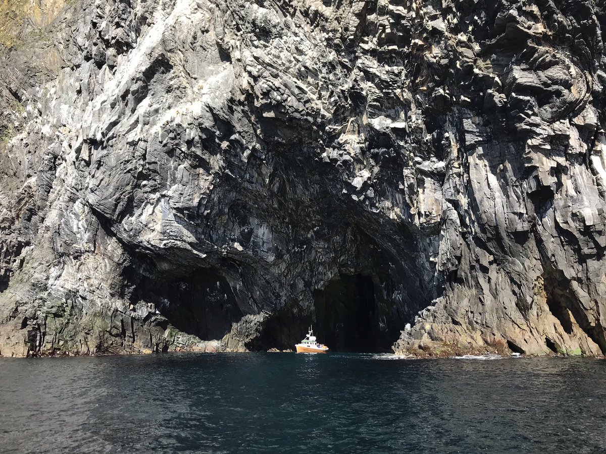 #Runde-fjell akkurat nå! 🙌😎 Fantastisk! Her finner du den høyeste tettheten av ulike fuglearter i Nord-Europa. Anbefales! #NorgesFerie 

adventuretailor.no/fosnavag/rib-t…